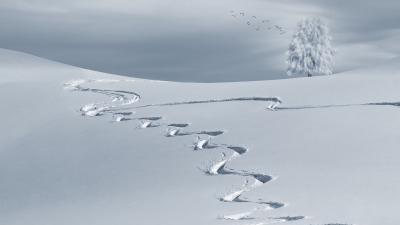 Location de ski à Morzine - Réservation de skis